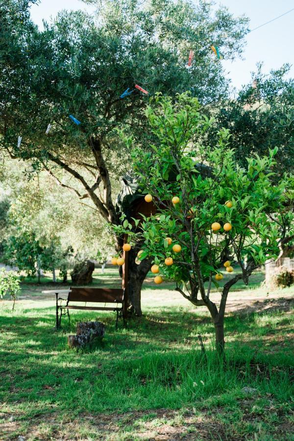 Villa Kallithea Parga Extérieur photo