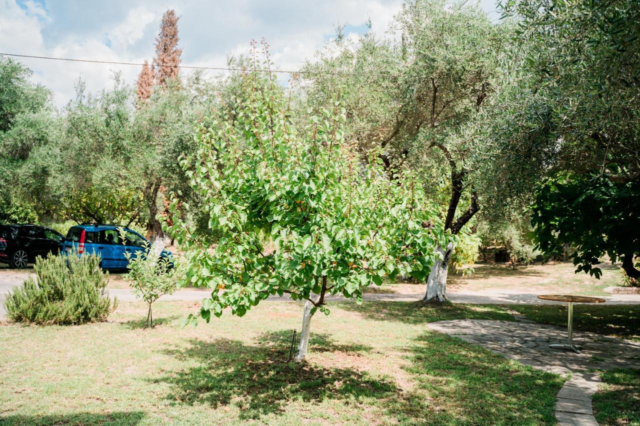 Villa Kallithea Parga Extérieur photo
